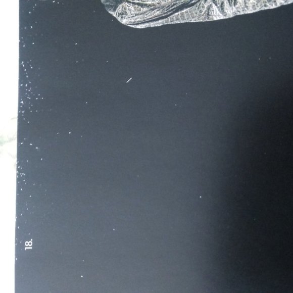 Giorgio Armani 2010 Fashion Lookbook - Picture 9 of 9